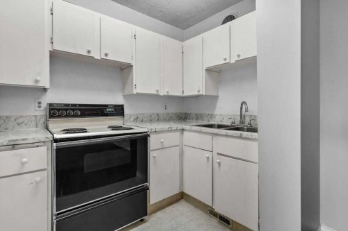 105-3500 Varsity Drive Nw, Calgary, AB - Indoor Photo Showing Kitchen With Double Sink