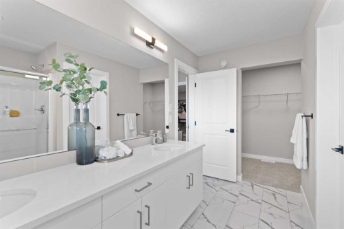 155 Belvedere Crescent Se, Calgary, AB - Indoor Photo Showing Bathroom