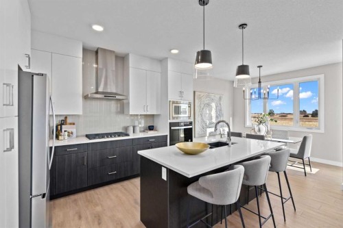 155 Belvedere Crescent Se, Calgary, AB - Indoor Photo Showing Kitchen With Upgraded Kitchen