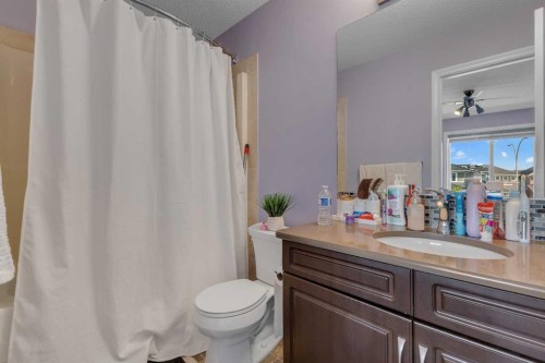 505 Redstone Drive Ne, Calgary, AB - Indoor Photo Showing Bathroom