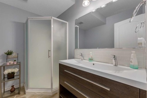 505 Redstone Drive Ne, Calgary, AB - Indoor Photo Showing Bathroom