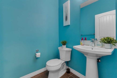 505 Redstone Drive Ne, Calgary, AB - Indoor Photo Showing Bathroom