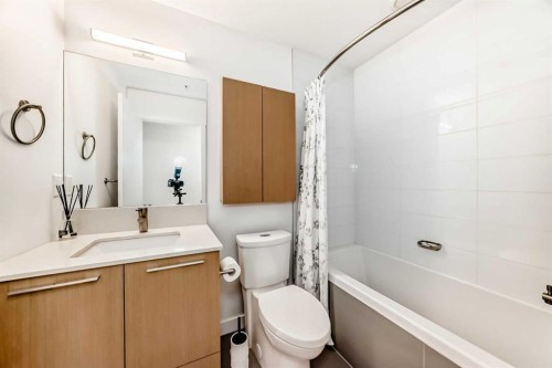 221-88 9 Street Ne, Calgary, AB - Indoor Photo Showing Bathroom