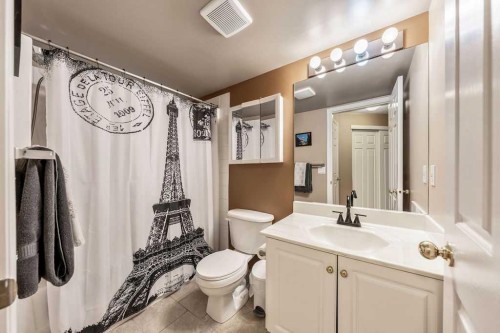 117-260 Shawville Way Se, Calgary, AB - Indoor Photo Showing Bathroom