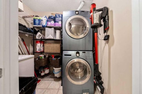 117-260 Shawville Way Se, Calgary, AB - Indoor Photo Showing Laundry Room