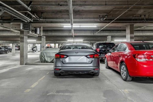 117-260 Shawville Way Se, Calgary, AB - Indoor Photo Showing Garage