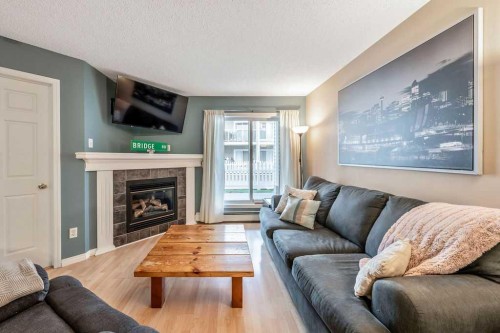 117-260 Shawville Way Se, Calgary, AB - Indoor Photo Showing Living Room With Fireplace