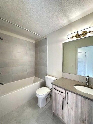 220 Waterford Heath, Chestermere, AB - Indoor Photo Showing Bathroom