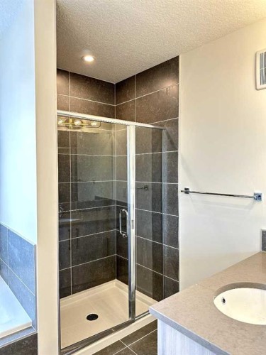 220 Waterford Heath, Chestermere, AB - Indoor Photo Showing Bathroom