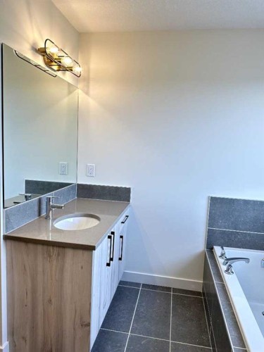 220 Waterford Heath, Chestermere, AB - Indoor Photo Showing Bathroom