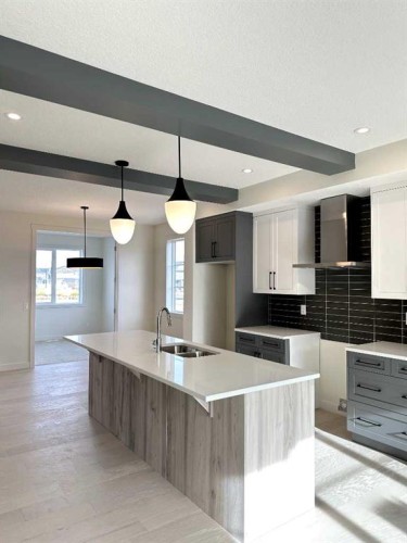 220 Waterford Heath, Chestermere, AB - Indoor Photo Showing Kitchen With Double Sink With Upgraded Kitchen