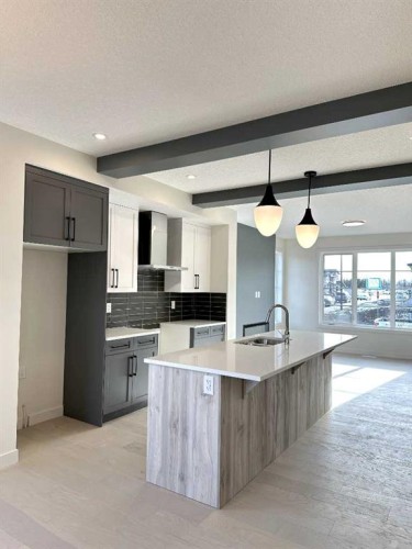 220 Waterford Heath, Chestermere, AB - Indoor Photo Showing Kitchen