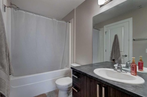 324-117 Copperpond Common Se, Calgary, AB - Indoor Photo Showing Bathroom