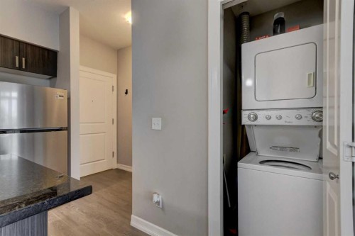324-117 Copperpond Common Se, Calgary, AB - Indoor Photo Showing Laundry Room