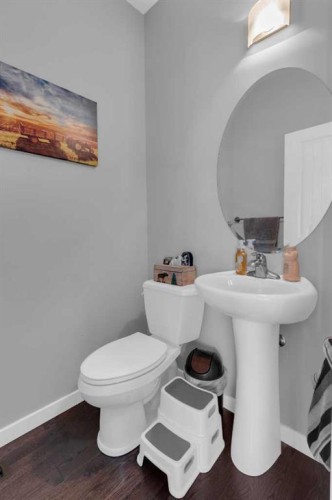 82 Fireside Cove, Cochrane, AB - Indoor Photo Showing Bathroom