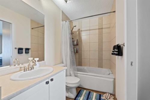 132 Mt Apex Green Se, Calgary, AB - Indoor Photo Showing Bathroom