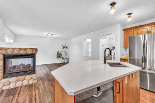 331 Springbank Place Sw, Calgary, AB - Indoor Photo Showing Kitchen With Fireplace With Double Sink With Upgraded Kitchen