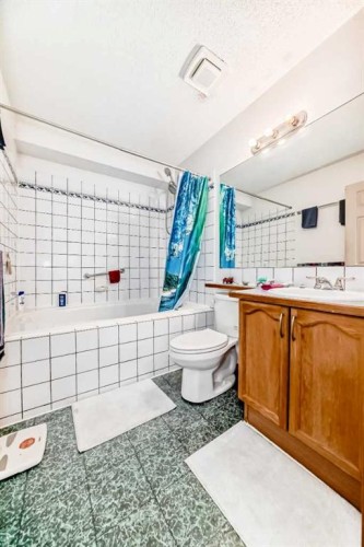 128 Erin Meadow Way Se, Calgary, AB - Indoor Photo Showing Bathroom
