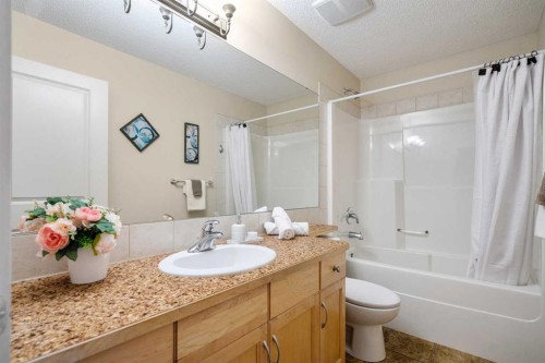808 Coopers Square Sw, Airdrie, AB - Indoor Photo Showing Bathroom