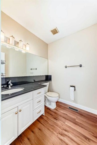 130 Braniff Crescent Sw, Calgary, AB - Indoor Photo Showing Bathroom