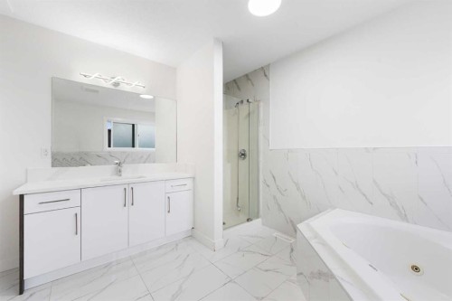 115 Taracove Landing Ne, Calgary, AB - Indoor Photo Showing Bathroom