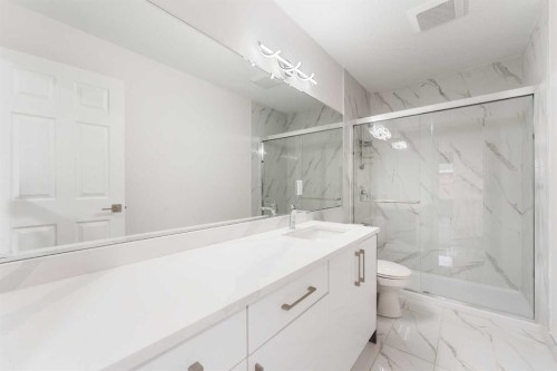 115 Taracove Landing Ne, Calgary, AB - Indoor Photo Showing Bathroom
