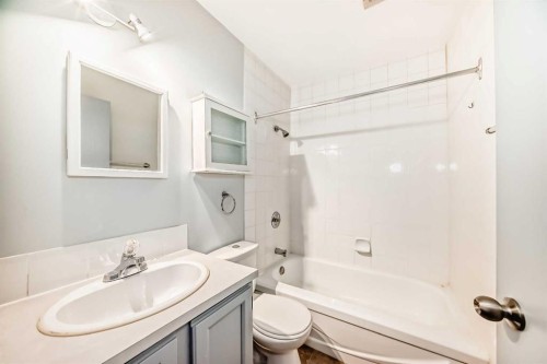 16 Beaver Dam Place Ne, Calgary, AB - Indoor Photo Showing Bathroom