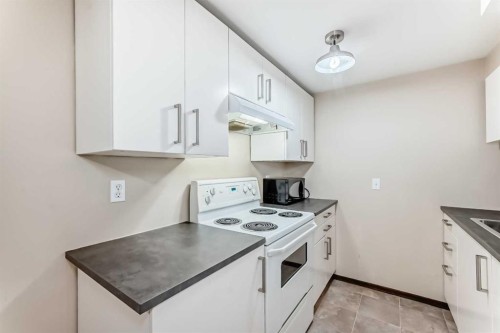 16 Beaver Dam Place Ne, Calgary, AB - Indoor Photo Showing Kitchen