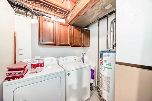 16 Beaver Dam Place Ne, Calgary, AB - Indoor Photo Showing Laundry Room