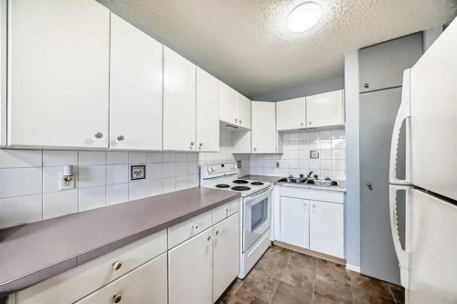 16 Beaver Dam Place Ne, Calgary, AB - Indoor Photo Showing Kitchen