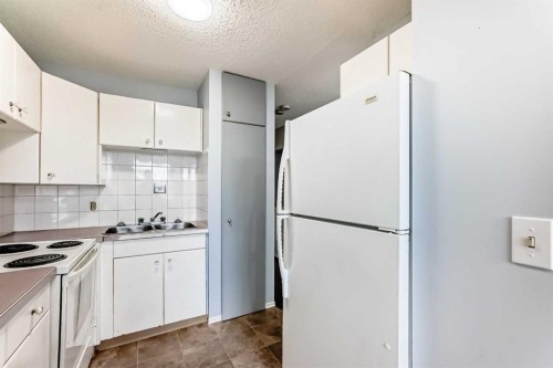 16 Beaver Dam Place Ne, Calgary, AB - Indoor Photo Showing Kitchen With Double Sink