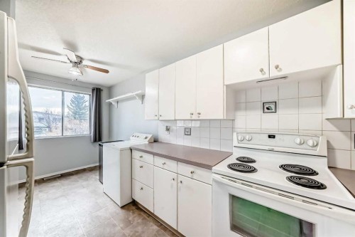 16 Beaver Dam Place Ne, Calgary, AB - Indoor Photo Showing Kitchen