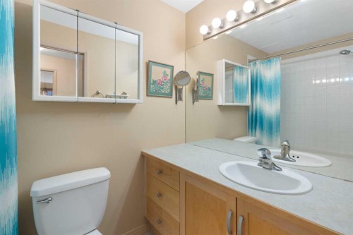 3108-13045 6 Street Sw, Calgary, AB - Indoor Photo Showing Bathroom