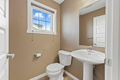 313 Auburn Bay Circle Se, Calgary, AB - Indoor Photo Showing Bathroom