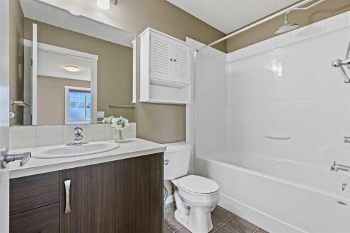 313 Auburn Bay Circle Se, Calgary, AB - Indoor Photo Showing Bathroom