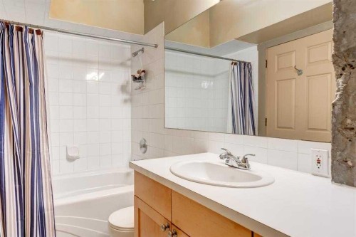 102-59 Glamis Drive Sw, Calgary, AB - Indoor Photo Showing Bathroom