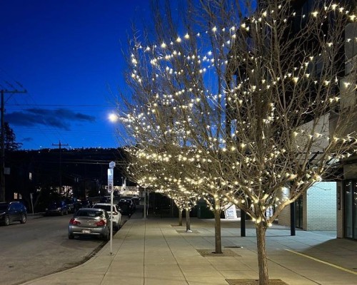 4509 19 Avenue Nw, Calgary, AB - Outdoor