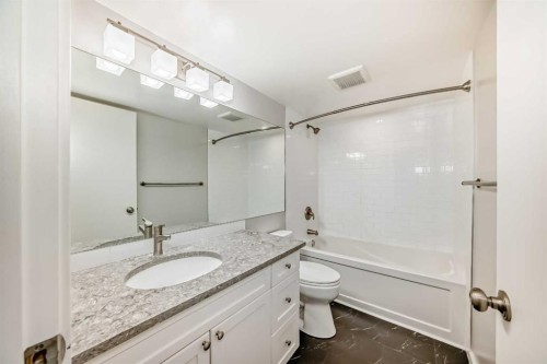 201-3727 42 Street Nw, Calgary, AB - Indoor Photo Showing Bathroom