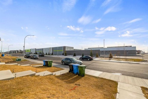 164 Cornerstone Grove Ne, Calgary, AB - Outdoor