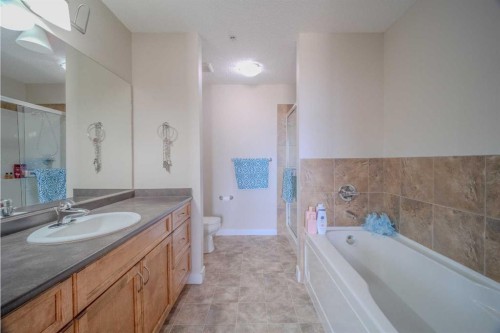1202-2370 Bayside Road Sw, Airdrie, AB - Indoor Photo Showing Bathroom