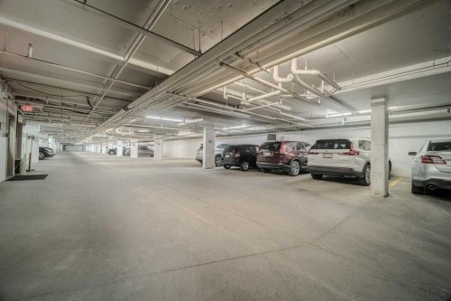 1202-2370 Bayside Road Sw, Airdrie, AB - Indoor Photo Showing Garage