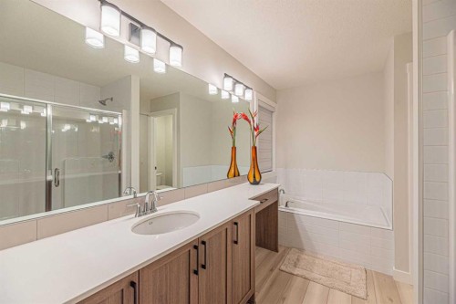 65 Amblefield View Nw, Calgary, AB - Indoor Photo Showing Bathroom