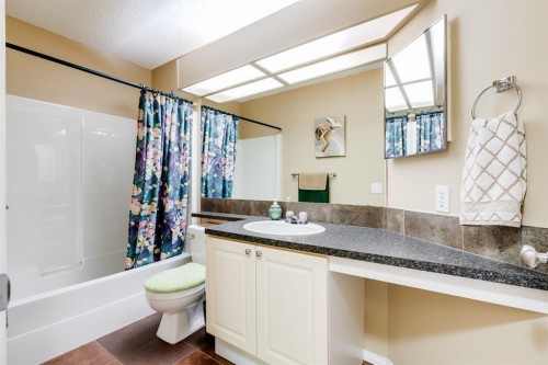 1808 Meadowbrook Gate Se, Airdrie, AB - Indoor Photo Showing Bathroom