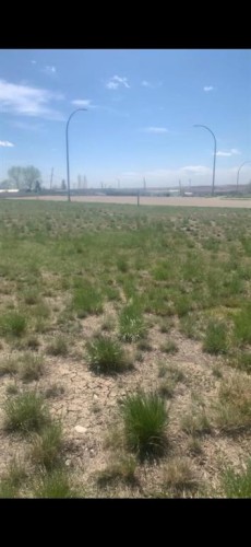 410 Frederick Avenue, Standard, AB 