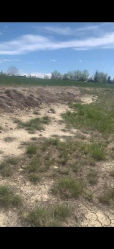 410 Frederick Avenue, Standard, AB 