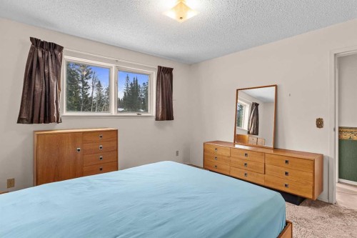 113 Larch Place, Canmore, AB - Indoor Photo Showing Bedroom