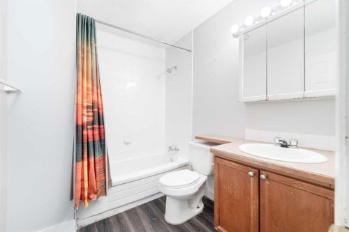 602-919 38 Street Ne, Calgary, AB - Indoor Photo Showing Bathroom