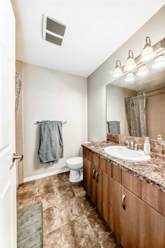 3140 Windsong Boulevard Sw, Airdrie, AB - Indoor Photo Showing Bathroom