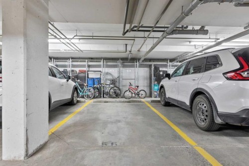 4205-522 Cranford Drive Se, Calgary, AB - Indoor Photo Showing Garage