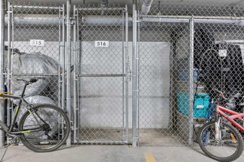 4205-522 Cranford Drive Se, Calgary, AB - Indoor With Storage